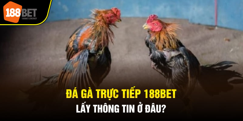 Đá gà trực tiếp 188BET lấy thông tin ở đâu?